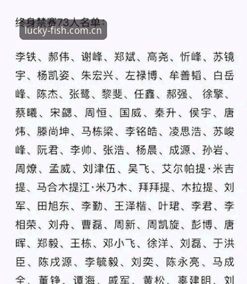 中国足球反腐风暴深度解读:17人终身禁足名单分析与平台观赛指南