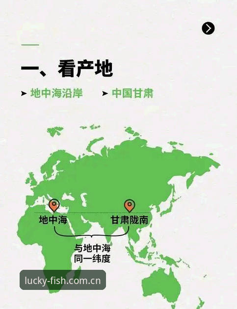 世界杯观赛受阻？乐鱼体育平台教你避开签证雷区的实用指南